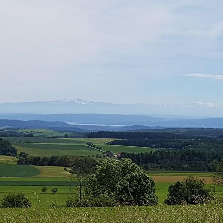 Berg Gasthof Witthoh Hotell Immendingen Exteriör bild