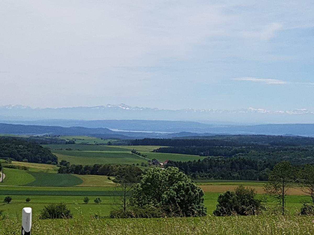 Berg Gasthof Witthoh Hotell Immendingen Exteriör bild